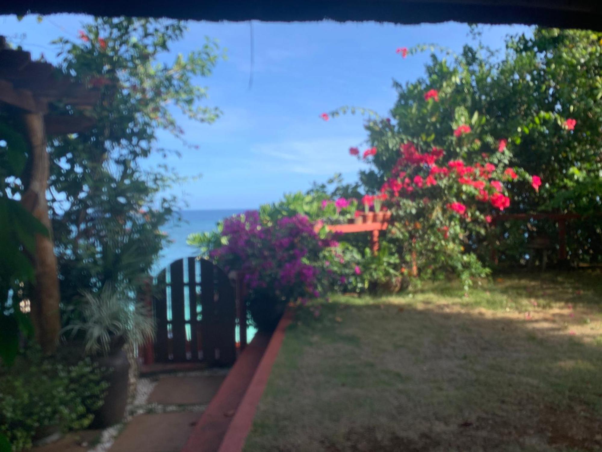 Blue Raven Resort Anda  Exterior foto