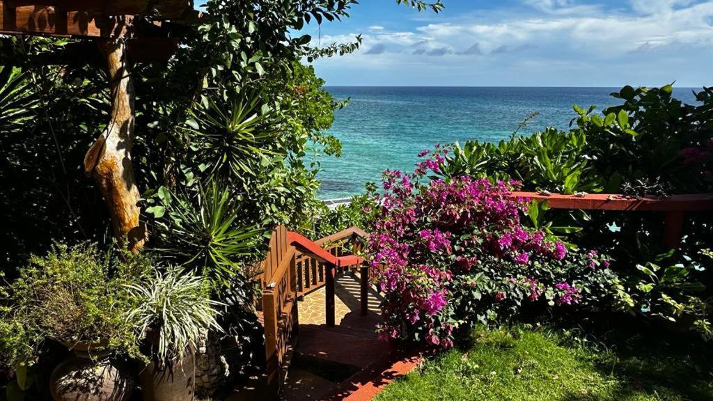 Blue Raven Resort Anda  Exterior foto